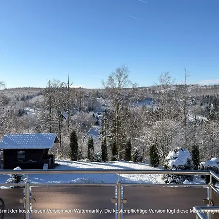 Bergmann Mit Balkon Und Kamin *